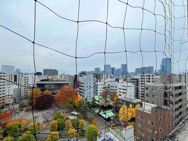 中古マンション 中央区湊１丁目 JR京葉線八丁堀駅 1億1,499万円