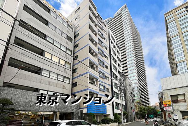 中古マンション 中央区湊１丁目 JR京葉線八丁堀駅 1億1,499万円