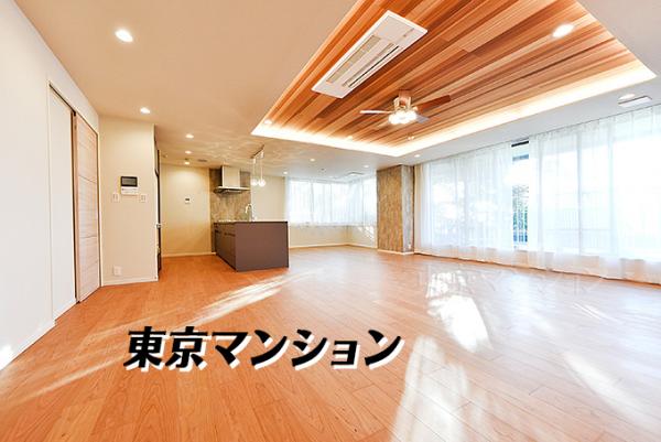 中古マンション 大田区山王３丁目43-2 JR京浜東北線大森駅 2億1,800万円