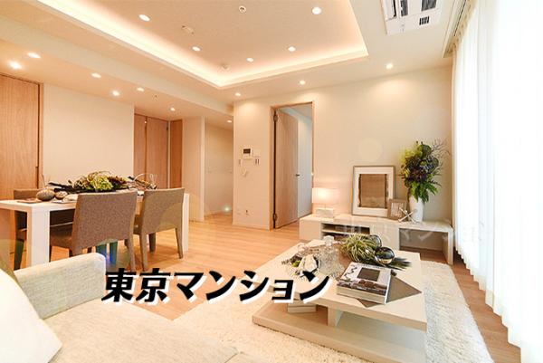 中古マンション 港区新橋１丁目10-2 都営大江戸線汐留駅 2億800万円