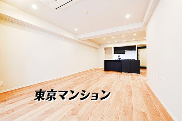 中古マンション 千代田区一番町21-3 半蔵門線半蔵門駅 2億5,800万円