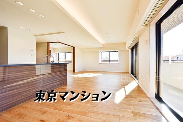 中古マンション 世田谷区成城１丁目 小田急線成城学園前駅 1億1,480万円
