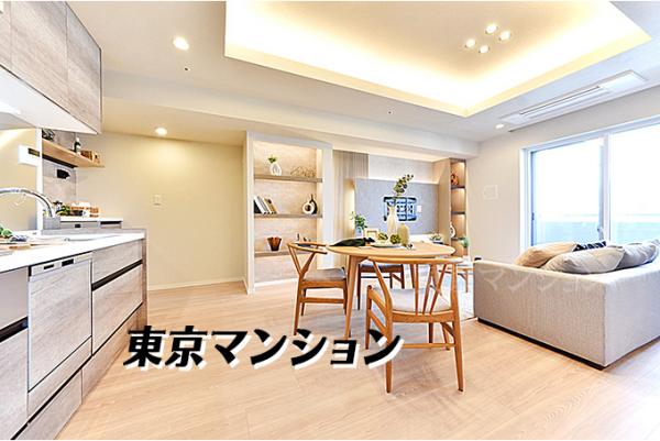 中古マンション 港区港南３丁目 JR山手線品川駅 1億3,300万円