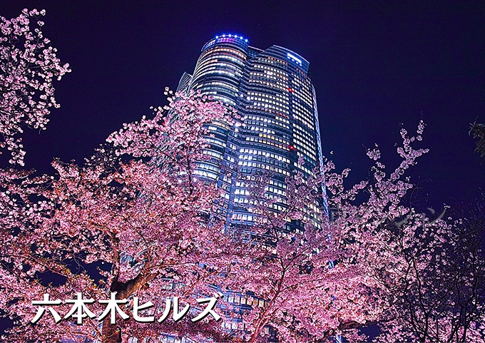 中古マンション 港区西麻布１丁目2-12 日比谷線六本木駅 9,390万円