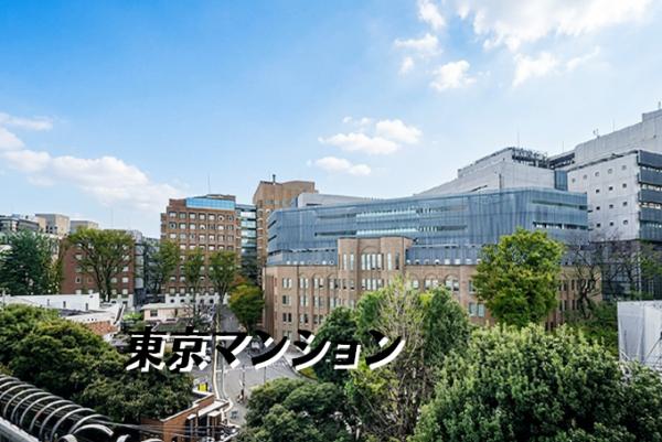中古マンション 文京区弥生２丁目4-8 千代田線根津駅 4,500万円