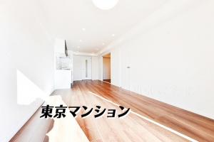 中古マンション 大田区矢口３丁目30-1 東急多摩川線武蔵新田駅 32800000