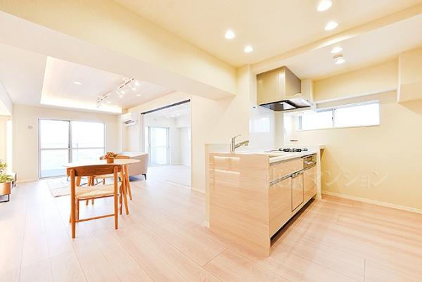 パシフィック自由ケ丘マンション リビング