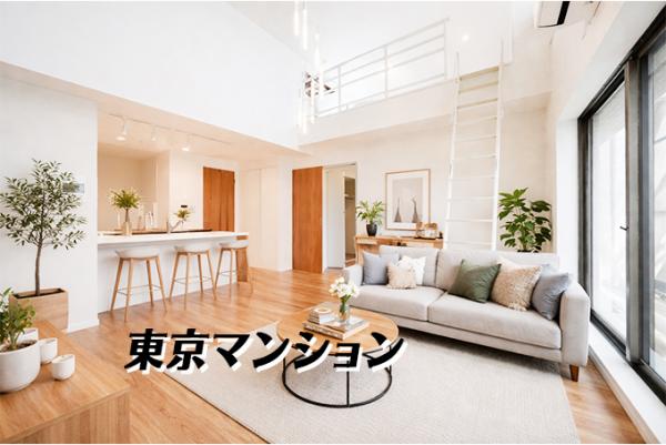 中古マンション 荒川区西日暮里１丁目 京成本線新三河島駅 1億1,999万円