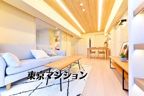 ミニカムマンション リビング