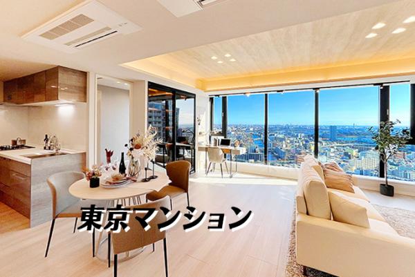 中古マンション 江東区豊洲３丁目 有楽町線豊洲駅 2億500万円