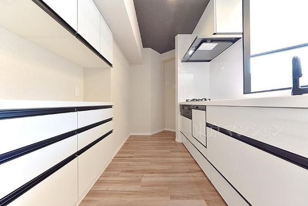 グランイーグル池上駅前 キッチン