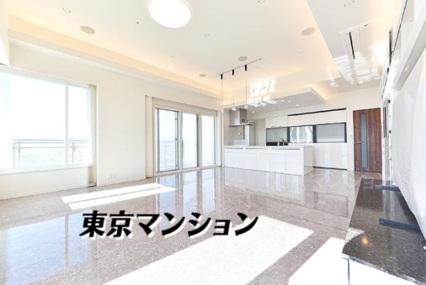 中古マンション 練馬区中村１丁目11-6 都営大江戸線練馬駅 2億1,000万円