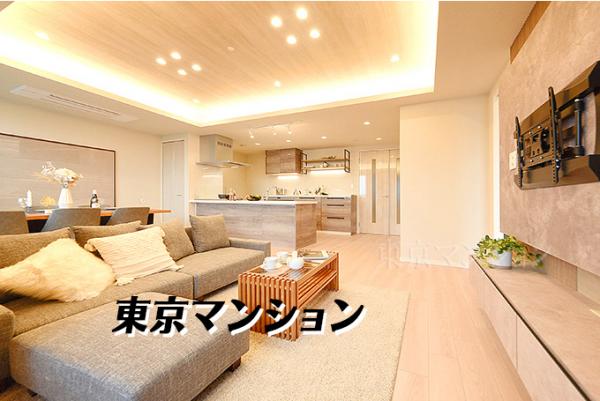 中古マンション 江東区東雲１丁目9-32 有楽町線辰巳駅 1億2,500万円