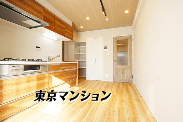 中古マンション 台東区松が谷３丁目 日比谷線入谷駅 4,380万円