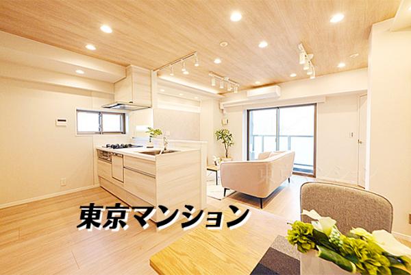 中古マンション 大田区西蒲田８丁目 JR京浜東北線蒲田駅 7,199万円