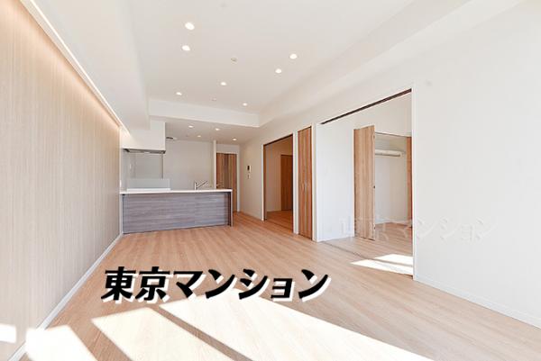 中古マンション 港区港南３丁目 JR山手線品川駅 1億3,300万円