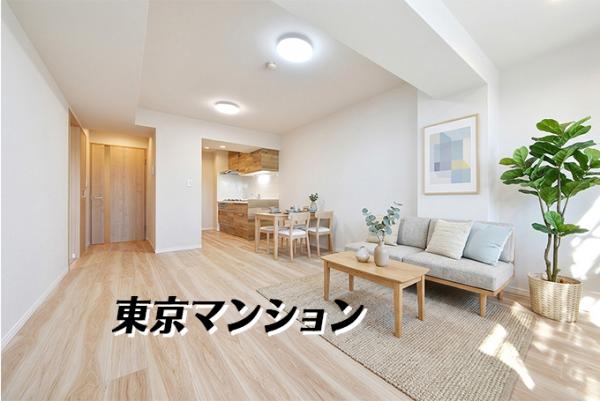 中古マンション 板橋区徳丸６丁目12-8 東武東上線東武練馬駅 3,390万円