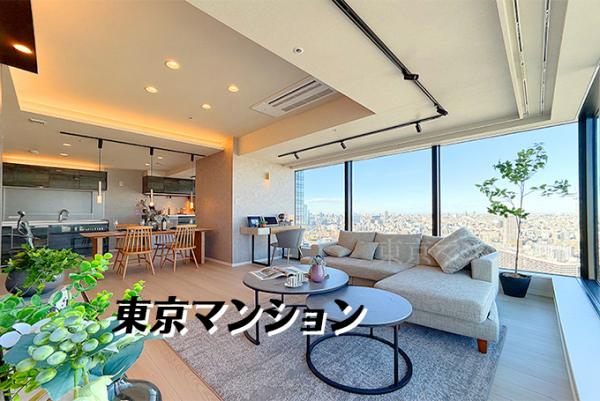 中古マンション 江東区豊洲３丁目4-1 有楽町線豊洲駅 2億2,000万円