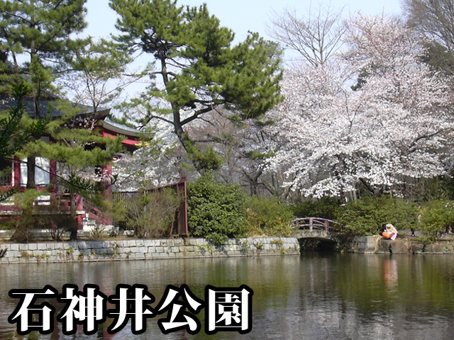 中古マンション 練馬区石神井台１丁目 西武池袋線石神井公園駅 5,690万円