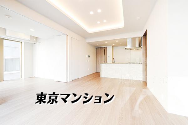 新築マンション 渋谷区東２丁目26-17 JR山手線渋谷駅 2億5,500万円