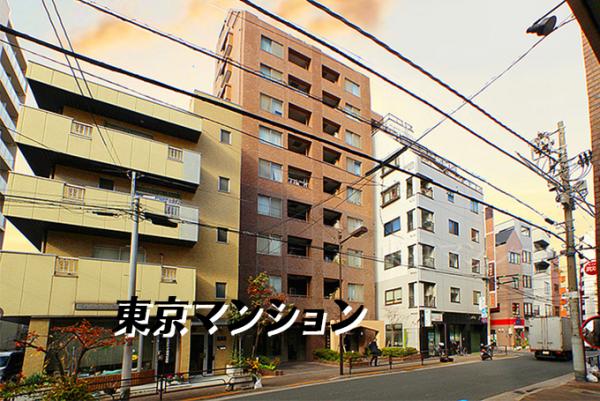 中古マンション 台東区松が谷４丁目20-11 日比谷線入谷駅 1億990万円