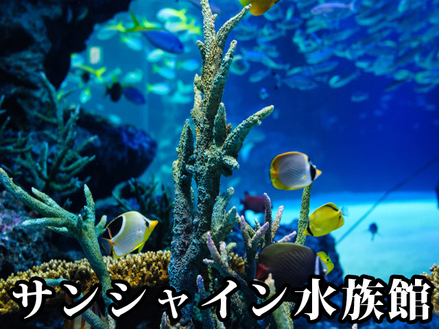 中古マンション 豊島区東池袋２丁目38-4 JR山手線池袋駅 1億1,999万円