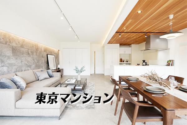 中古マンション 港区白金６丁目5-12 南北線白金高輪駅 9,880万円