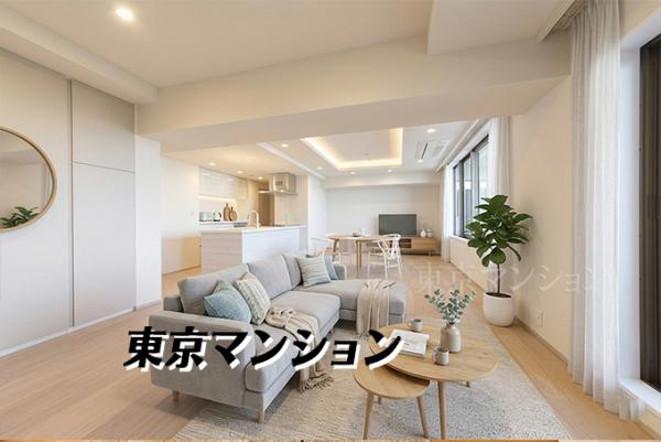 中古マンション 練馬区石神井町２丁目 西武池袋線石神井公園駅 1億6,480万円