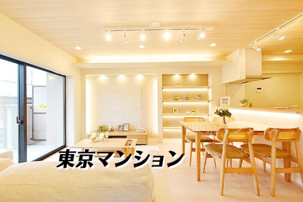 中古マンション 練馬区南田中５丁目 西武池袋線練馬高野台駅 6,299万円