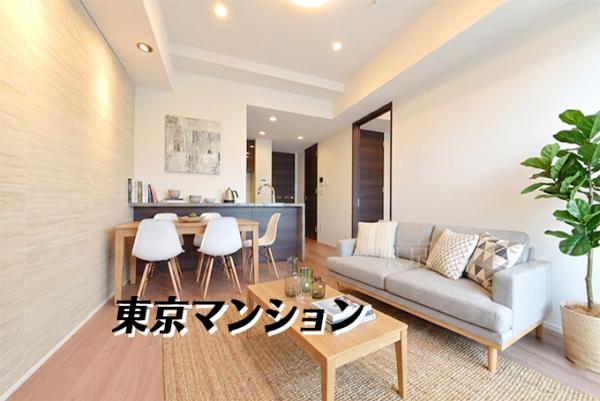 中古マンション 中央区新川２丁目 JR京葉線八丁堀駅 1億3,699万円