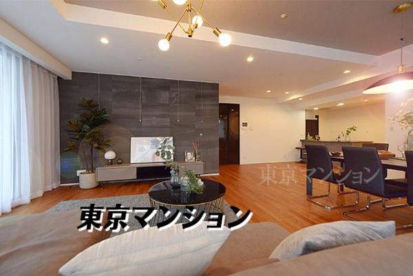 中古マンション 江東区東雲１丁目 有楽町線辰巳駅 1億7,999万円