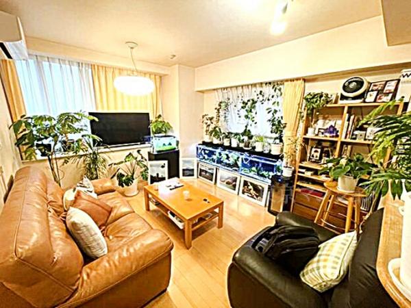 中古マンション 新宿区中落合２丁目 西武新宿線中井駅 6,300万円