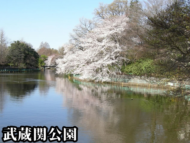 中古マンション 練馬区関町南４丁目 西武新宿線武蔵関駅 3,790万円