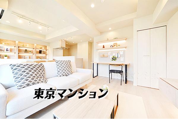 中古マンション 新宿区中落合３丁目 西武池袋線椎名町駅 8,699万円
