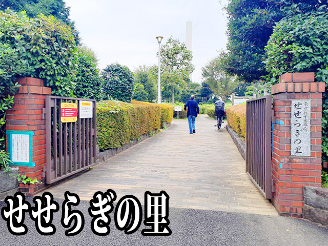 中古マンション 新宿区下落合４丁目5-7 西武新宿線下落合駅 8,480万円