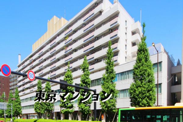中古マンション 文京区関口１丁目 有楽町線江戸川橋駅 9,999万円