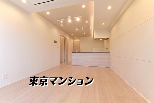 中古マンション 新宿区新小川町 JR中央・総武線飯田橋駅 1億2,990万円