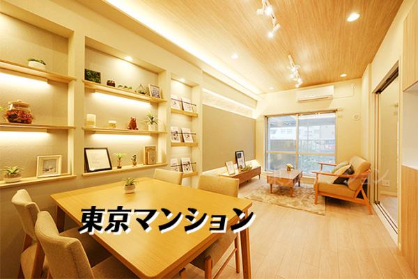 中古マンション 北区豊島１丁目 南北線王子駅 4,499万円