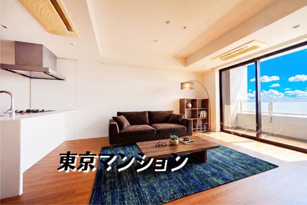 中古マンション 新宿区西新宿６丁目20-7 都営大江戸線西新宿五丁目駅 1億4,500万円