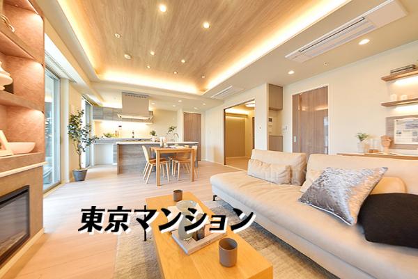 中古マンション 中央区月島１丁目 都営大江戸線月島駅 2億8,000万円