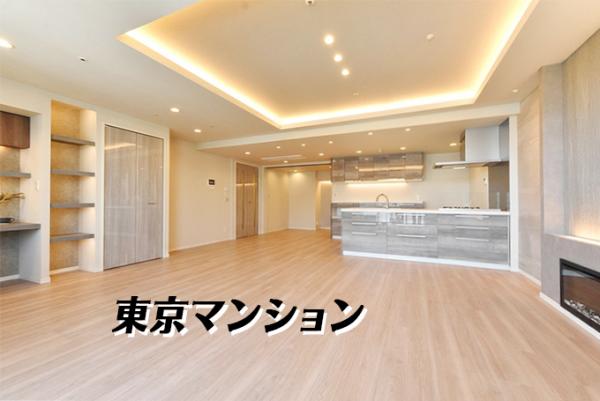 中古マンション 江東区東雲１丁目 有楽町線辰巳駅 1億8,500万円