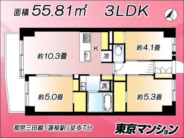 中古マンション 板橋区坂下２丁目22-16 都営三田線蓮根駅 4,580万円