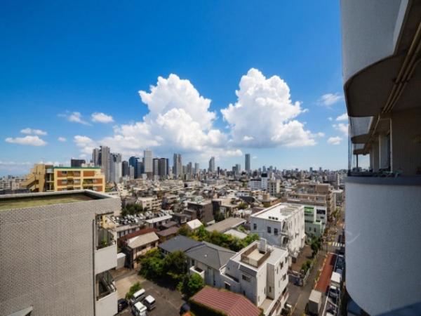中野スカイマンション 眺望