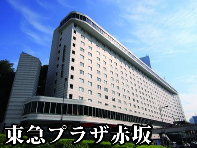 中古マンション 千代田区麹町１丁目 半蔵門線半蔵門駅 1億1,999万円