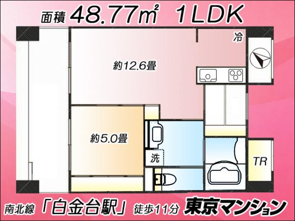 中古マンション 港区白金６丁目 南北線白金台駅 6,480万円