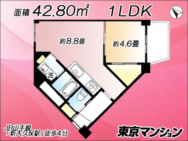 中古マンション 新宿区百人町２丁目17-12 JR山手線新大久保駅 3,199万円