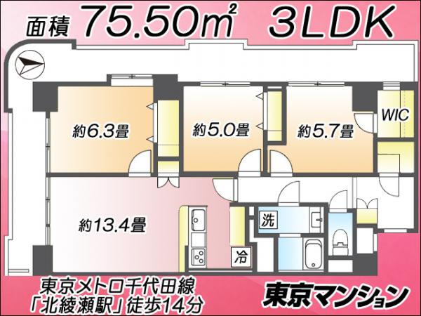 ライオンズプラザ北綾瀬 間取り図