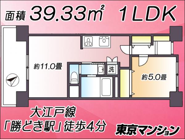 中古マンション 中央区月島４丁目20-1 都営大江戸線勝どき駅 4,380万円