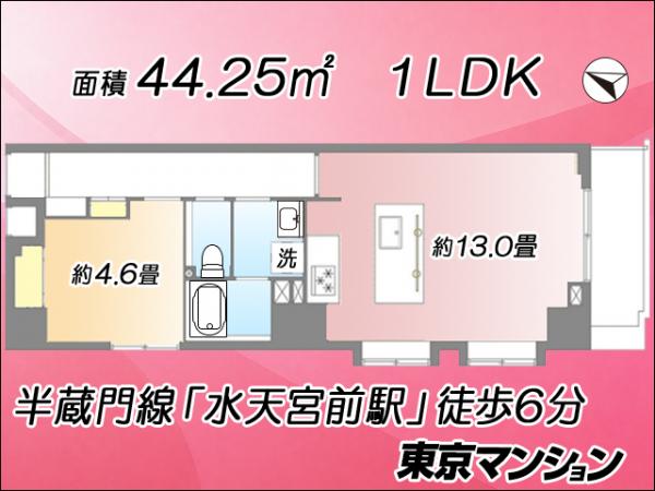 中古マンション 中央区日本橋中洲 半蔵門線水天宮前駅 6,280万円