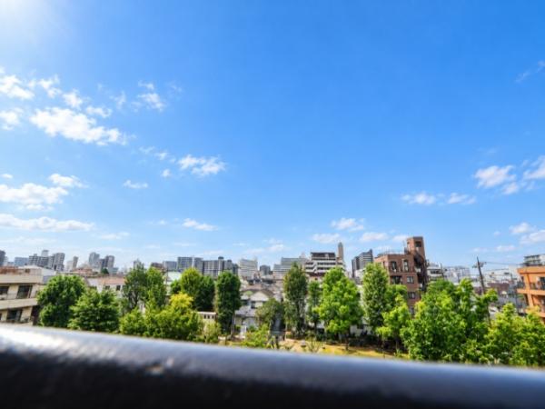 トーア平井マンション 眺望